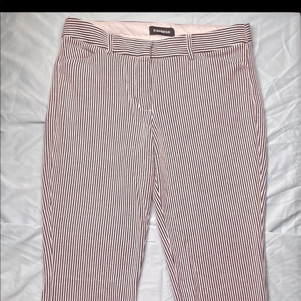 Express dress pants